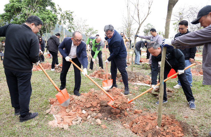 珠海：港澳臺(tái)僑共植“同心林” 助力綠美斗門(mén)生態(tài)建設(shè)
