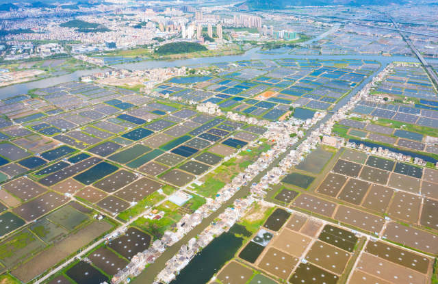 有5G加持的海鱸魚正游向更大市場。