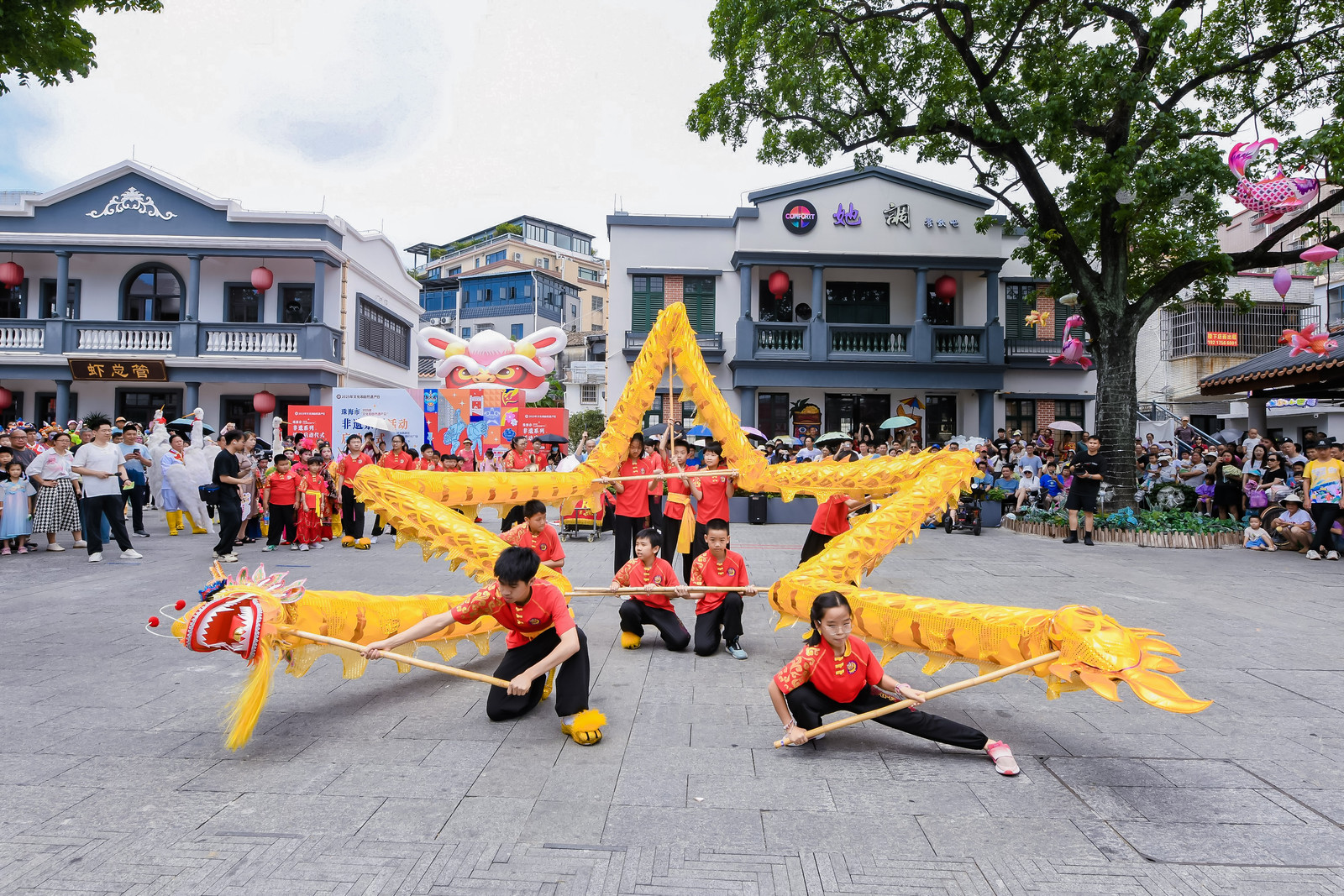 DSC_8240-3691536576.jpg